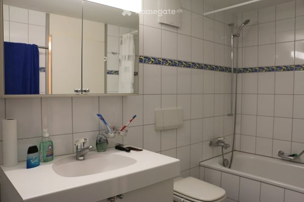 Möblierte 2 1/2-Zimmer Wohnung in St. Gallen – befristet zu vermieten 5