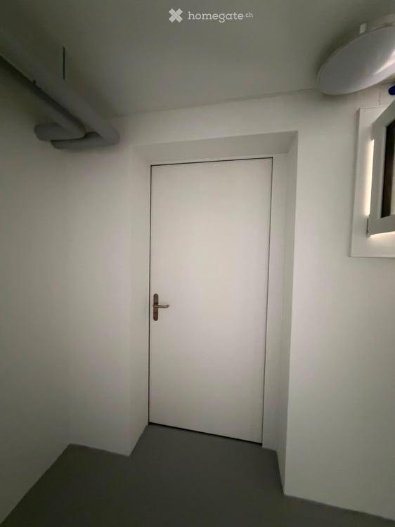 Grosszügige 5.5-Zimmer-Dachwohnung mit Terrasse und Weitsicht in Schaffhausen 33