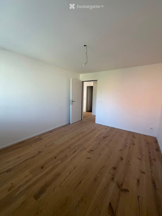 Grosszügige 5.5-Zimmer-Dachwohnung mit Terrasse und Weitsicht in Schaffhausen 19