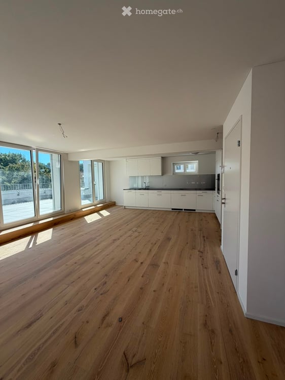 Grosszügige 5.5-Zimmer-Dachwohnung mit Terrasse und Weitsicht in Schaffhausen 1