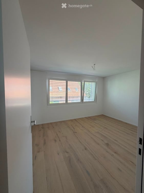 Grosszügige 5.5-Zimmer-Dachwohnung mit Terrasse und Weitsicht in Schaffhausen 13