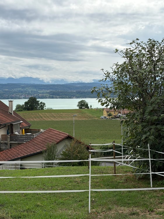 Charmant appartement de 3.5 pièces avec terrasse et vue lac à Lugnorre 2
