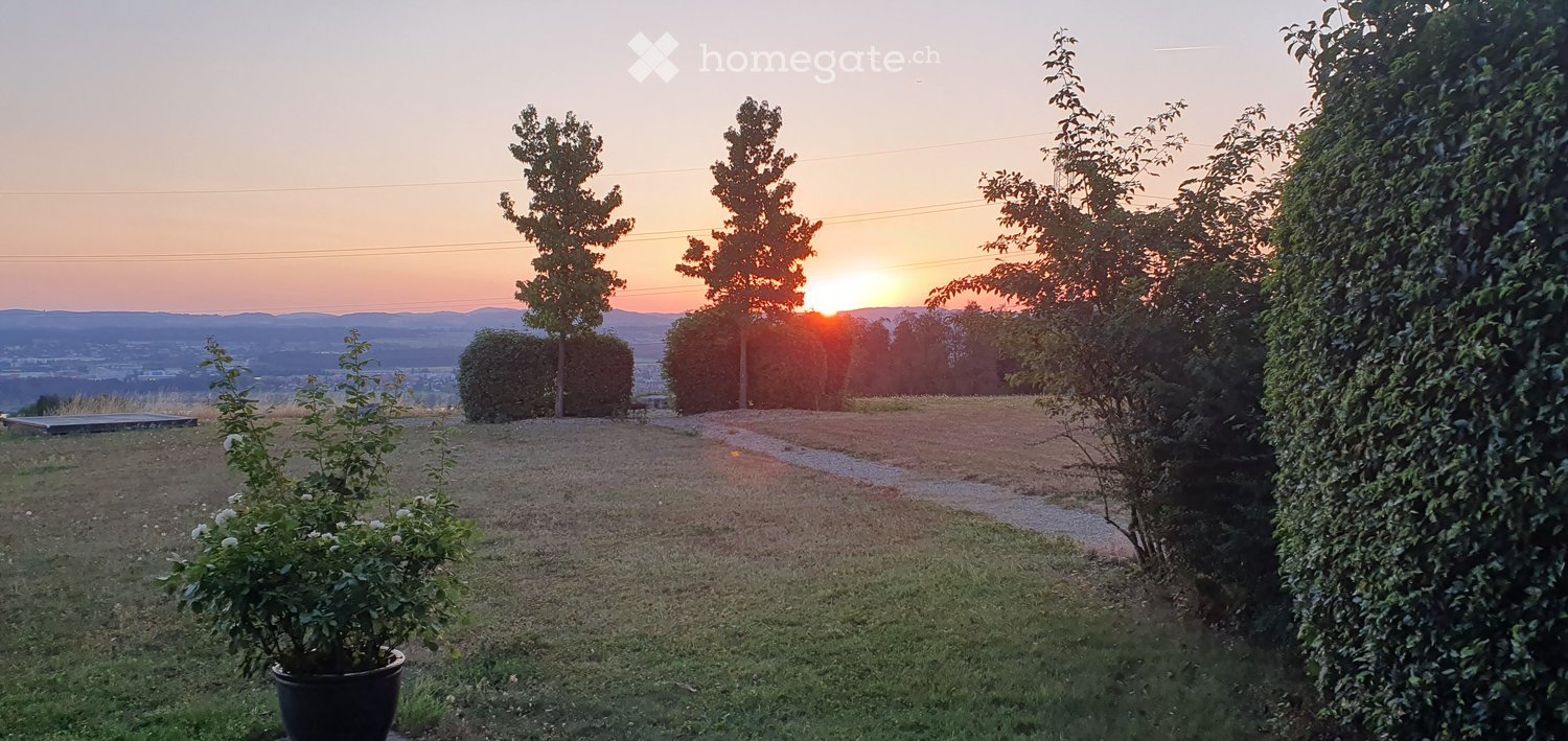 Garden with a view of the sunset over a valley, featuring trimmed hedges, trees, and a potted plant in the foreground.
