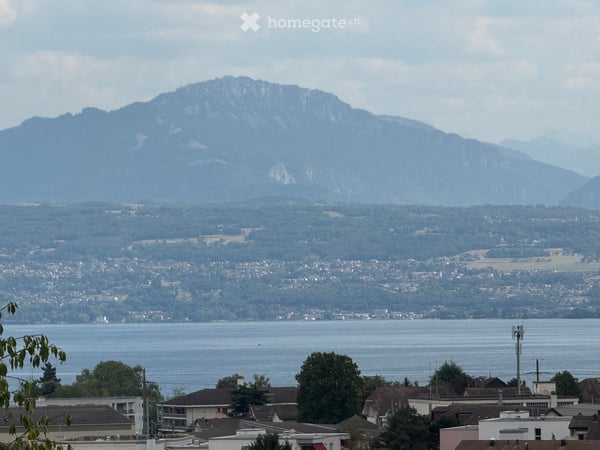 Superbe villa individuelle dans un écrin de verdure, vue sur le lac et les vignes à Saint-Prex 2
