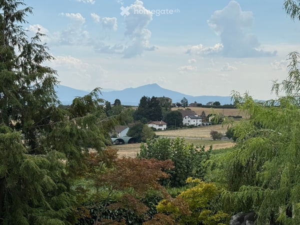 Superbe villa individuelle dans un écrin de verdure, vue sur le lac et les vignes à Saint-Prex 4