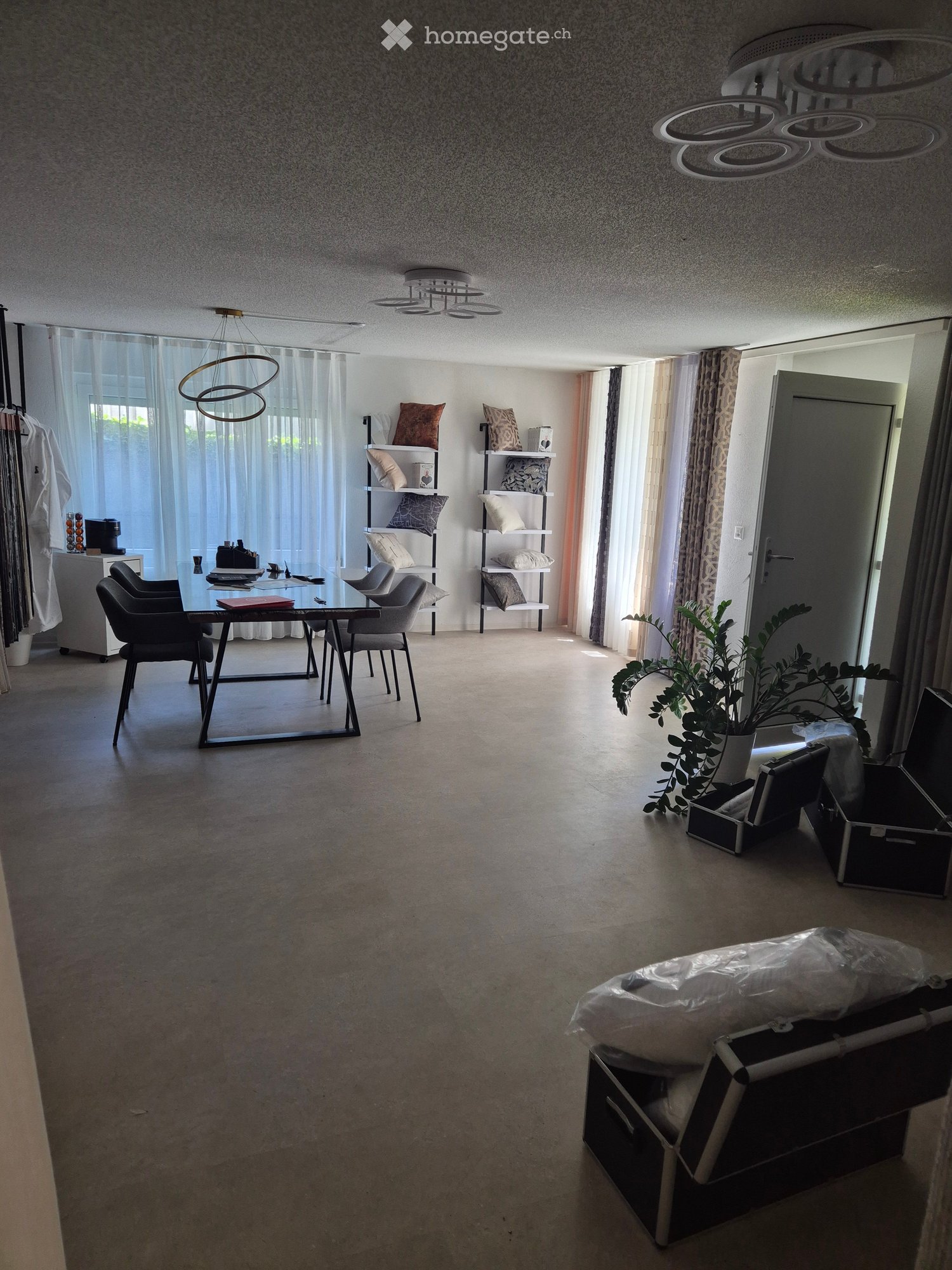 Open-plan living and dining area with modern furniture, including a glass dining table, chairs, shelves with decorative items, and a potted plant near the doorway.