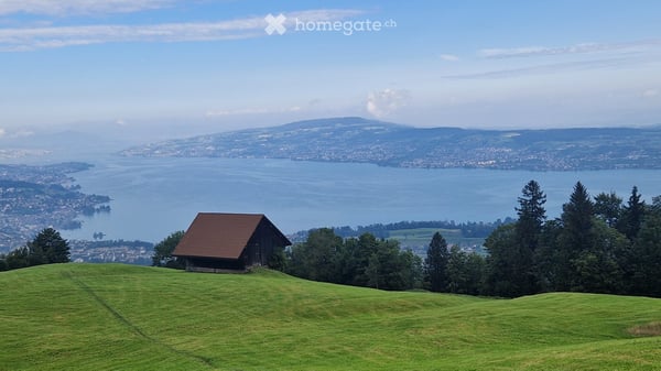 Stilvolle 3.5-Zimmer-Wohnung an ruhiger Lage in Wollerau zu vermieten 14