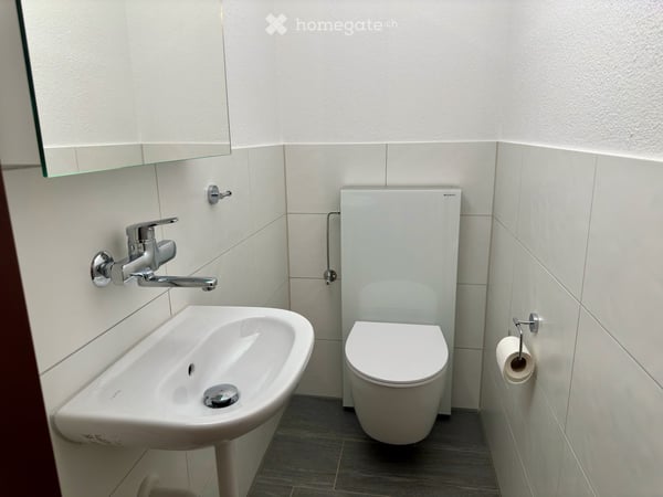 Renovierte 6.5 Zi Wohung in Wintherthur Seen 8