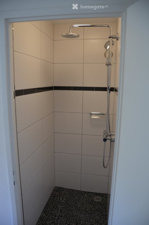 Befristet bis März 2028 Sehr ruhige, stadtnahe und doch im Grünen gelegene Wohnung mit Cheminee 5