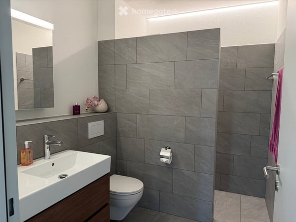 Aussergewöhnliche Neubauwohnung im Zentrum von Meisterschwanden am Hallwilersee 13