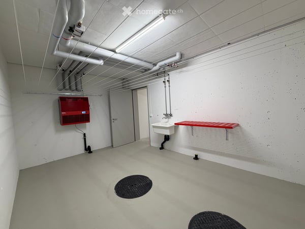 Aussergewöhnliche Neubauwohnung im Zentrum von Meisterschwanden am Hallwilersee 25