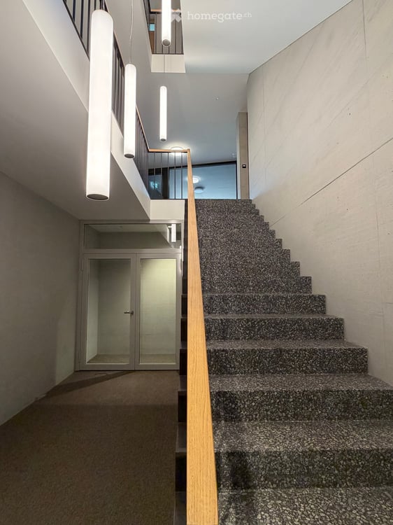 Aussergewöhnliche Neubauwohnung im Zentrum von Meisterschwanden am Hallwilersee 20