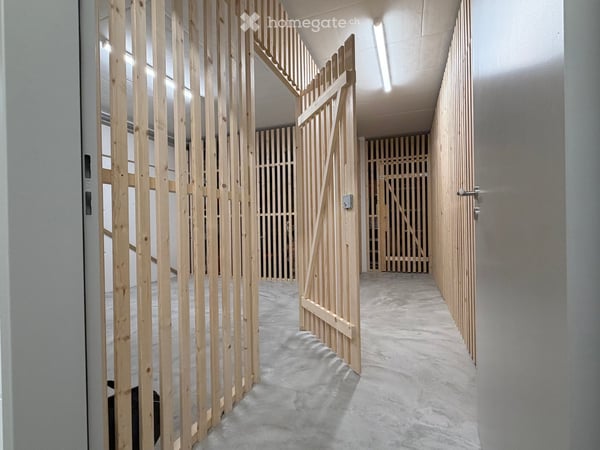 Aussergewöhnliche Neubauwohnung im Zentrum von Meisterschwanden am Hallwilersee 21