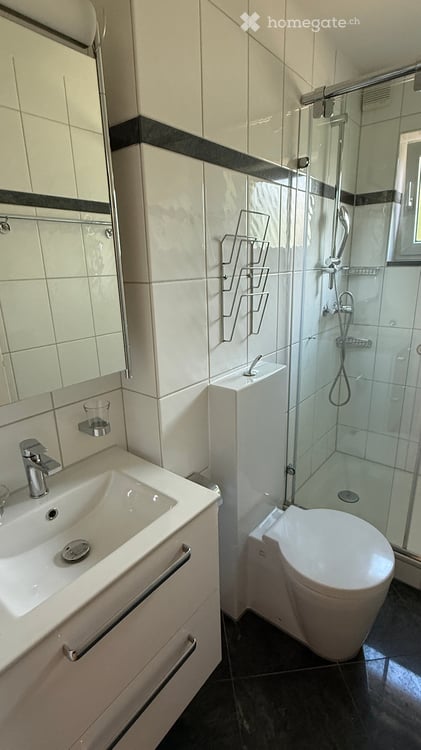 Helle 4.5-Zimmer-Wohnung mit Gartensitzplatz in Uetikon am See 12