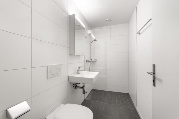 Helle 3.5-Zimmer-Wohnung mit Balkon und schöner Aussicht in Zürich-Friesenberg 11