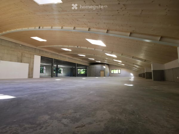 NUOVO CAPANNONE INDUSTRIALE, ARTIGIANALE E COMMERCIALE - VACALLO 9