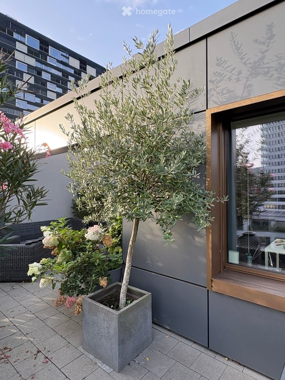 Wunderschöne 3.5-Attikawohnung an der Pfingstweidstrasse 104D, ruhig, Dachterrasse, sonnig, privat 19