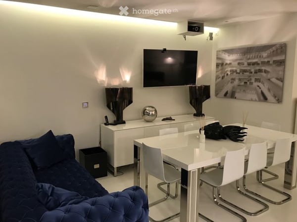 Elegant Furnished Apartment | Lake Zurich | Weekly Housekeeping Included 2
