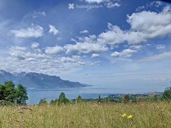 Stunning 7-Room Villa for Rent in Chamby with Panoramic Views 28