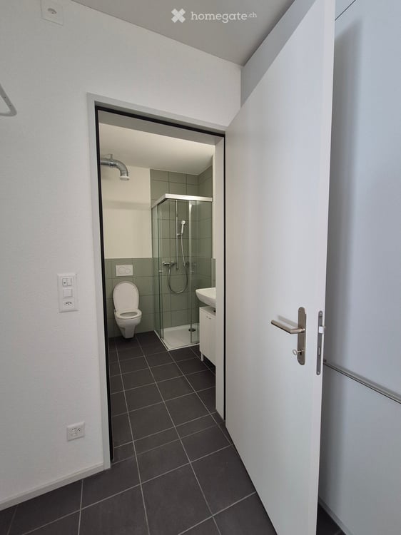 Helles und grosszügiges 1-Zimmer-Atelier mit eigener Küche und Dusche – per sofort 5