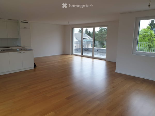 Spacious 4.5-Room Attic Apartment with Two Large Terraces in Dübendorf