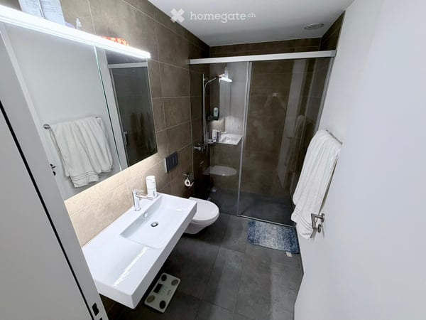 Nahe Sihlcity und doch idyllisch gelegen - 4.5-Zimmer-Wohnung in Zürich-Enge (Le001) 4