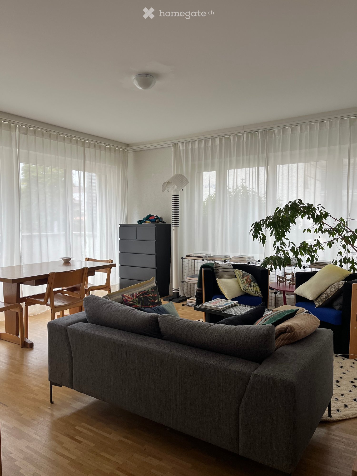 Bright living room with large windows covered by sheer curtains, wooden flooring, grey sofa with colorful pillows, coffee table, dining table with chairs, floor lamp, and a tall plant in the corner.