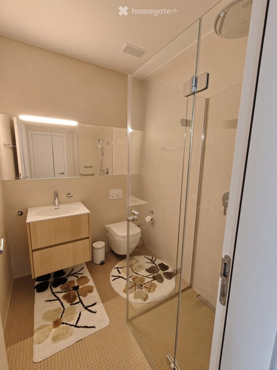 Duplex-/Maisonette-Wohnung in Schwyz 5