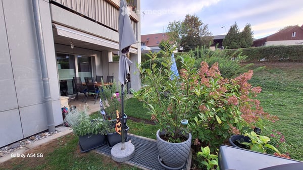 Helle 3.5-Zimmer-Wohnung in Steinmaur – ruhig, modern und barrierefrei 4