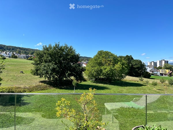 Wunderschöne Attikawohnung bei Zürich – Natur, Grosszügigkeit & modernes Wohnen 12