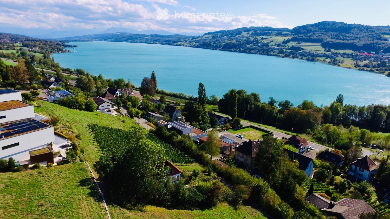 Aerial view of a residential area with houses, trees, and a large lake in the background.