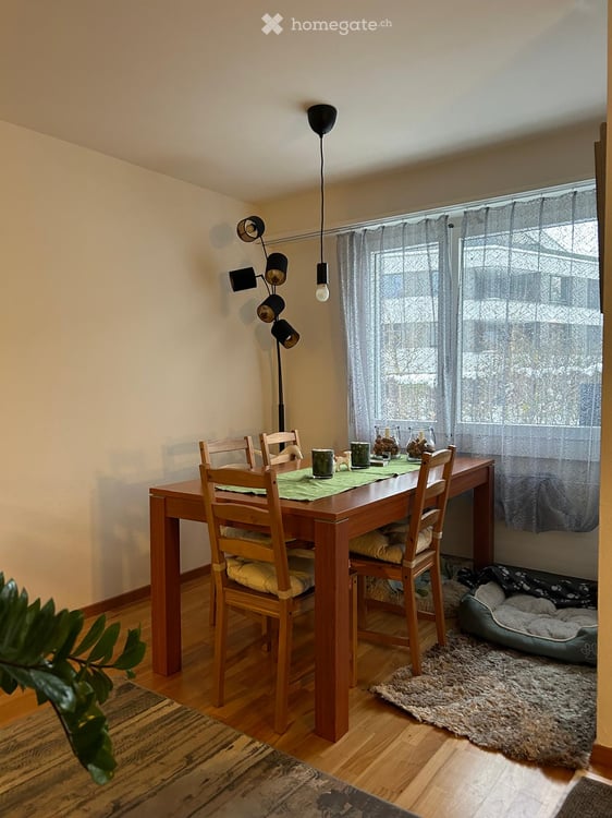 offene 3.5 Zimmer Gartenwohnung in Binningen 4