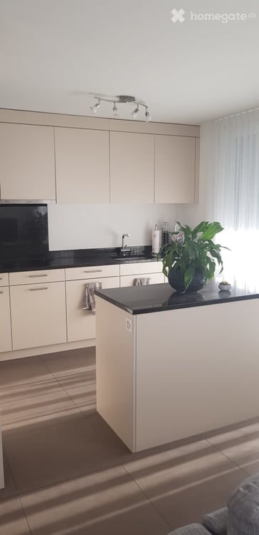 Freundliche 4.5-Zimmerwohnung in Seebach 4