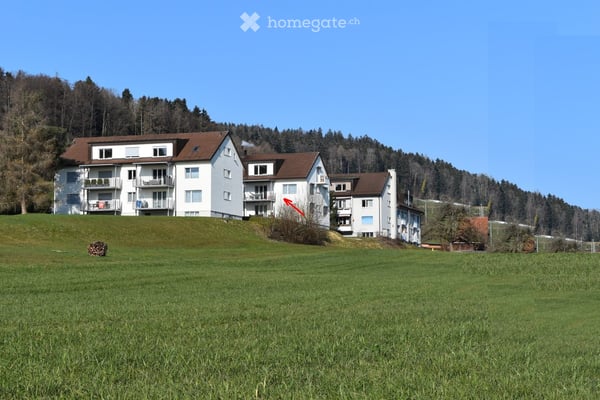 Nachmieter Gesucht! Grosse 4.5 Zimmer Wohnung mit traumhafter Weitsicht auf Greifensee und Berge! 2