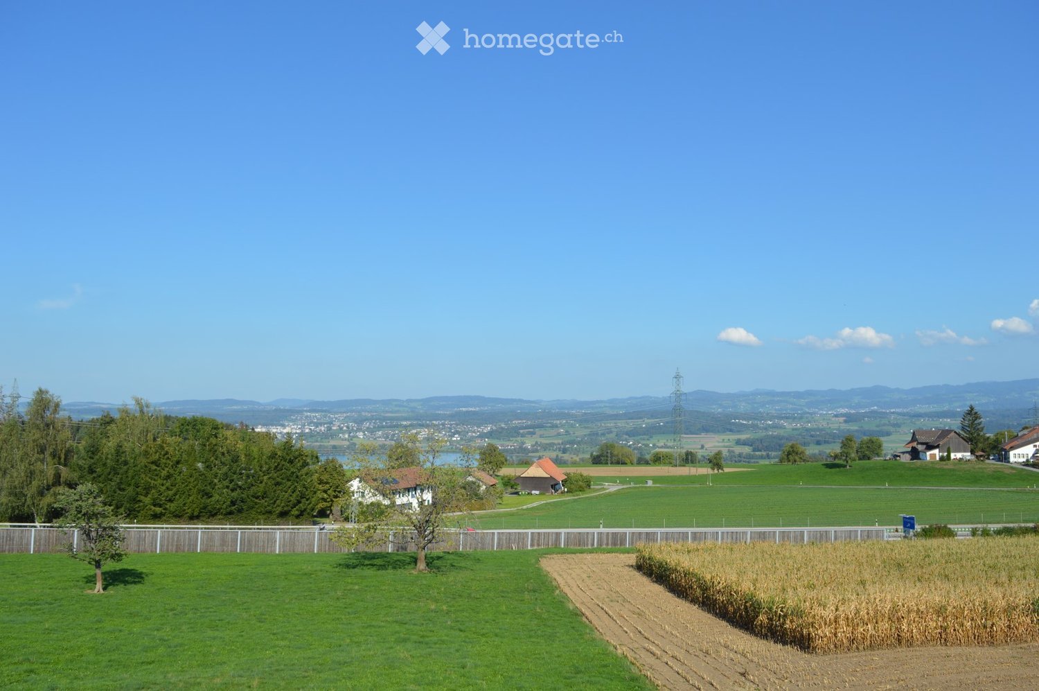 A peaceful rural landscape with green fields, scattered trees, a few houses, and distant mountains under a clear blue sky.