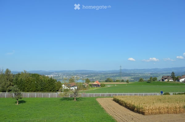 Nachmieter Gesucht! Grosse 4.5 Zimmer Wohnung mit traumhafter Weitsicht auf Greifensee und Berge! 1
