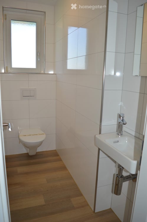 Nachmieter Gesucht! Grosse 4.5 Zimmer Wohnung mit traumhafter Weitsicht auf Greifensee und Berge! 6
