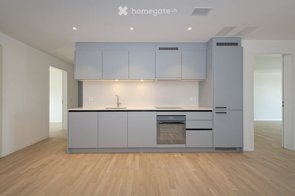 Neubau: grosszügige 2.5-Zimmer-Attikawohnung im Grünen 2