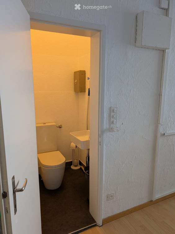 Gewerbeflächen mit 3 PP und Hebebühne 5