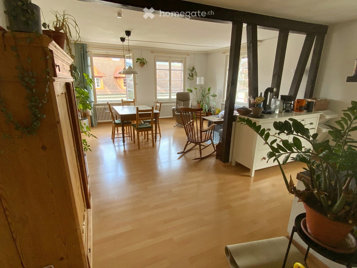 Bright, open living and dining area with wooden flooring, large windows, a dining table with chairs, a rocking chair, and a white cabinet with potted plants.