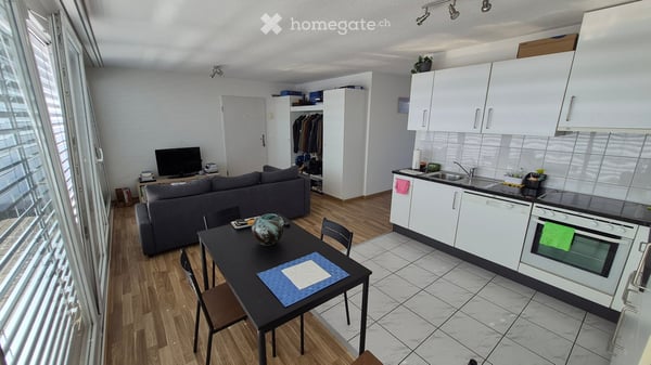 Stylish 1.5-Room Attic Apartment with large terraces in Glattpark, Opfikon 3