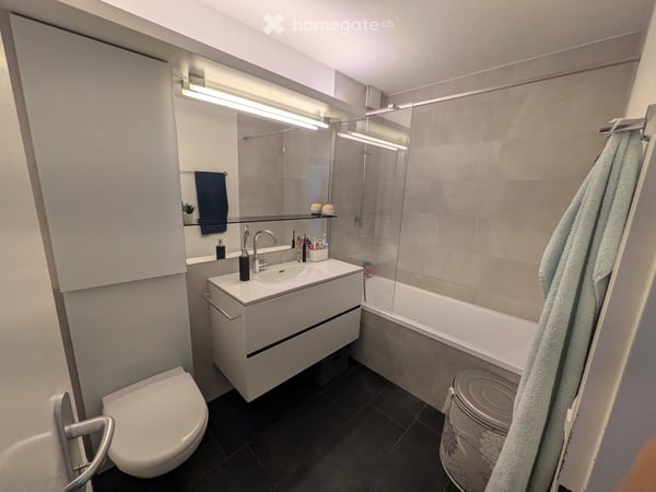Grosszügige 6-Zimmer-Terrassenwohnung in Adliswil - Ab 16 Dezember 2026 4