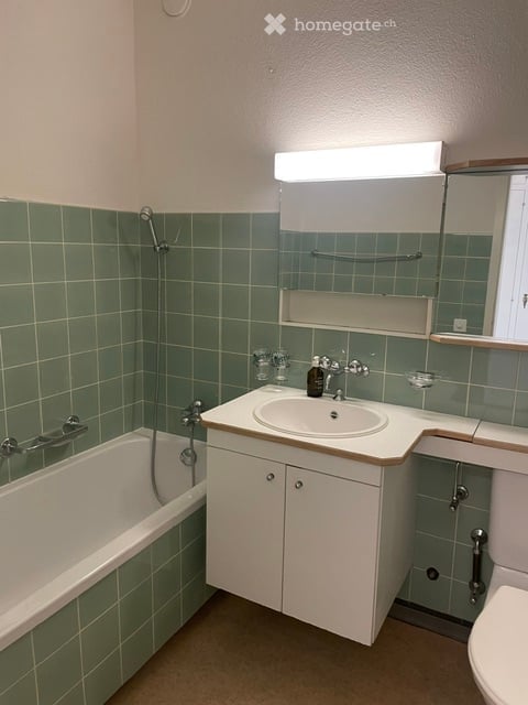 Gemütliches 1.5-Zimmer-Studio mit Sitzplatz in Uitikon 11
