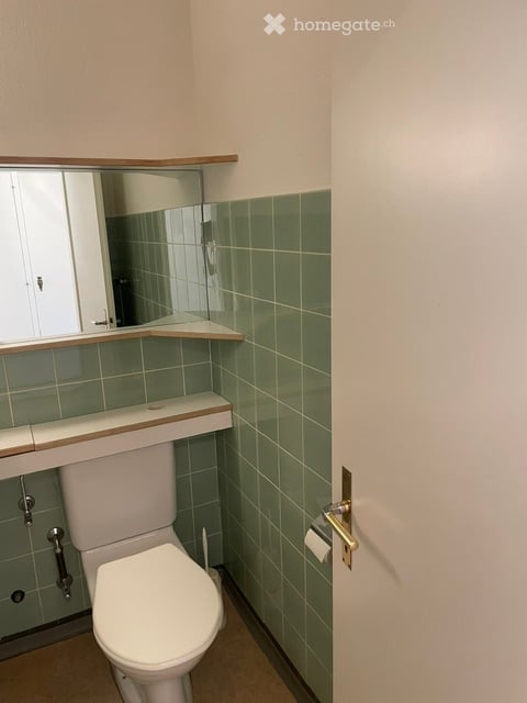 Gemütliches 1.5-Zimmer-Studio mit Sitzplatz in Uitikon 12
