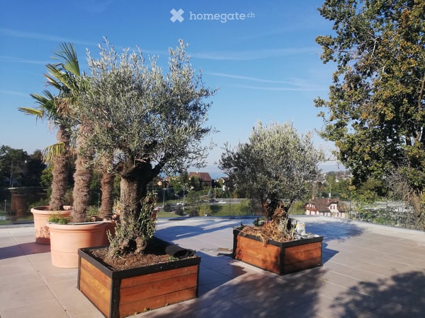 Lutry: Villa terrasse en attique 200 m2, 5/6.5 p, gde terrasse vue lac 160 m2. Migros & gare à 2 pas 4