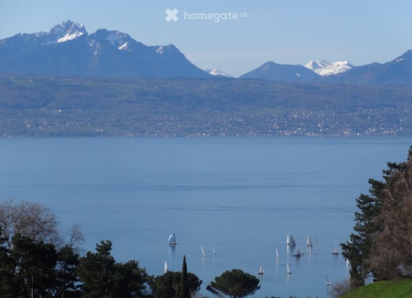 Aperçu de l'image de l'immobilier