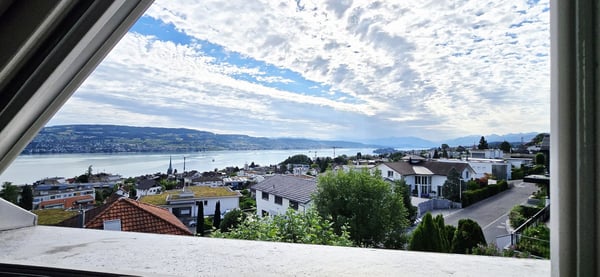 Exklusives 6.5 Zimmer-Einfamilienhaus mit Traumgarten und Seesicht 6