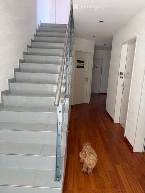 zügige 5.5-Zimmer-Maisonette-Wohnung mit Bergblick in Buochs 8