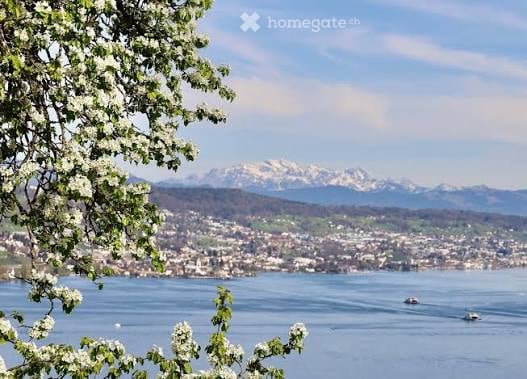 Spacious 10-Room Villa with Stunning Lake & Mountain Views – For Rent