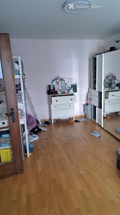 Helle 2-Zimmer-Wohnung Hobbyraum mit Balkon am Luzernerring in Basel 4